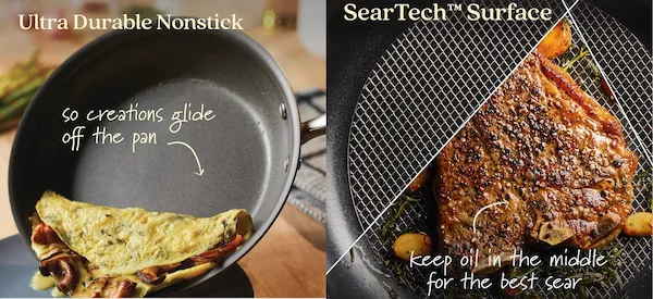 old anolon nonstick pan vs x hybrid pan